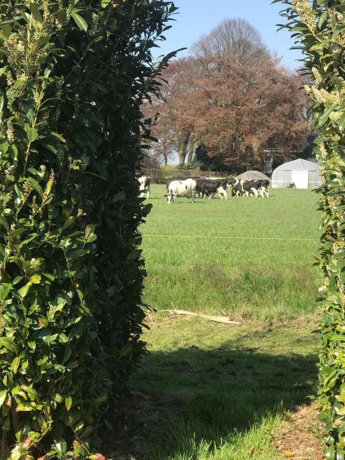 De Veenborg Kolham Bagian luar foto